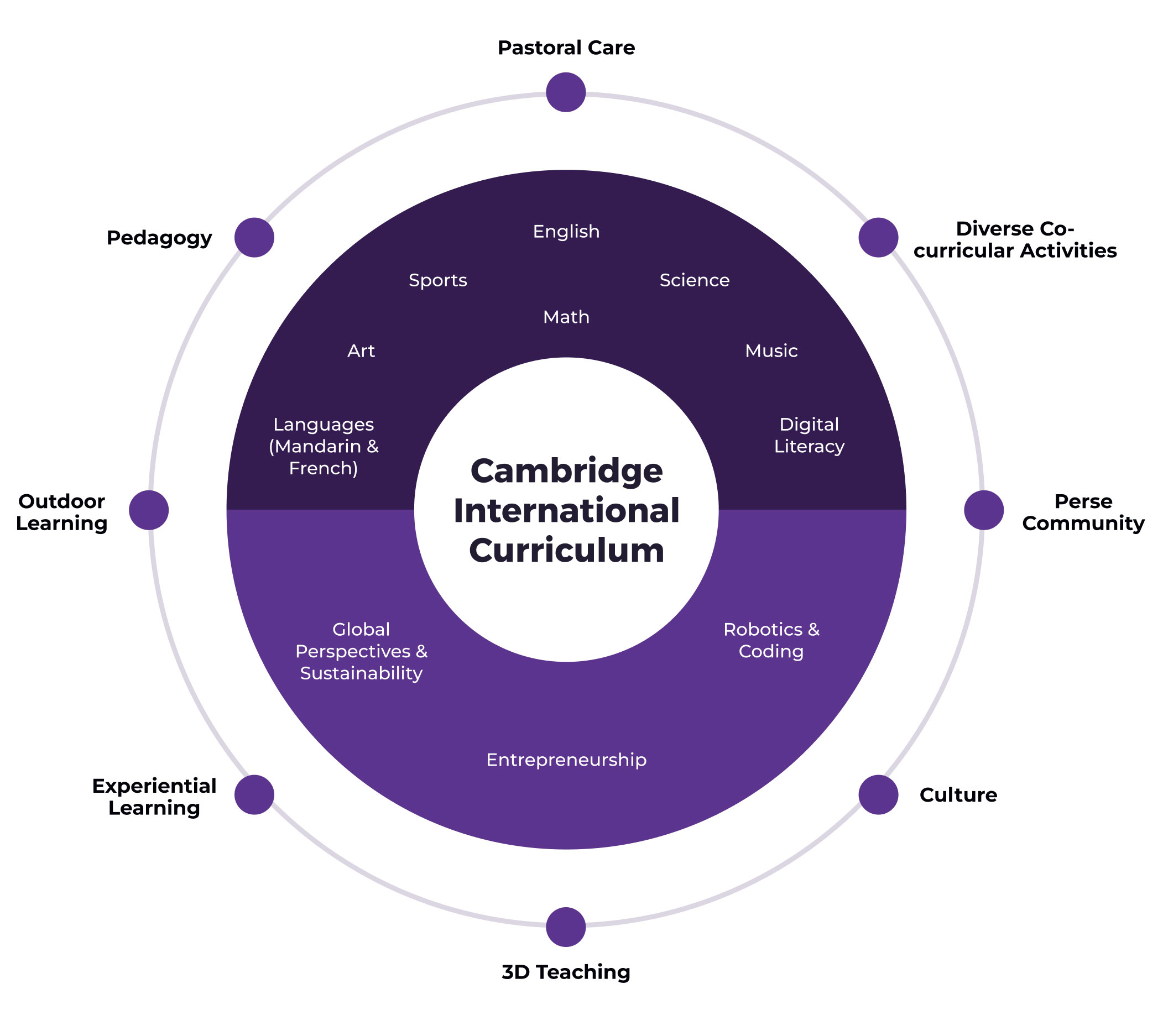 Cambridge International Curriculum illustration