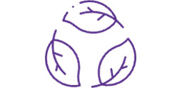 Icon Environment