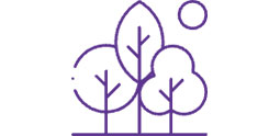 Icon Forest